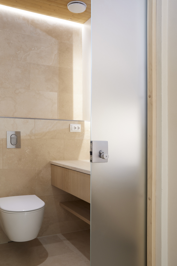 Villa Hopeapuu Liune Aika lasiovi