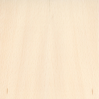 Texture: sauna door wood